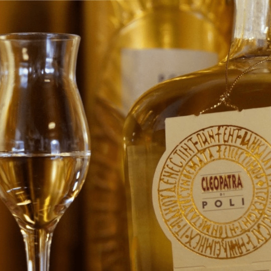 Grappa Tasting Experience in Venice - Grappa Tasting - Touraround