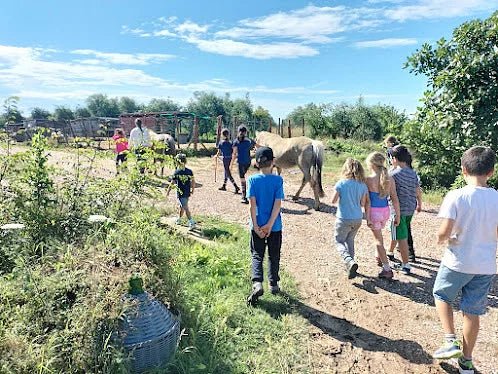 Grosseto: visit the family farm with tasting of local food at Agriturismo Lillastro - Farm Tour - Touraround