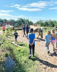 Grosseto: visit the family farm with tasting of local food at Agriturismo Lillastro - Farm Tour - Touraround