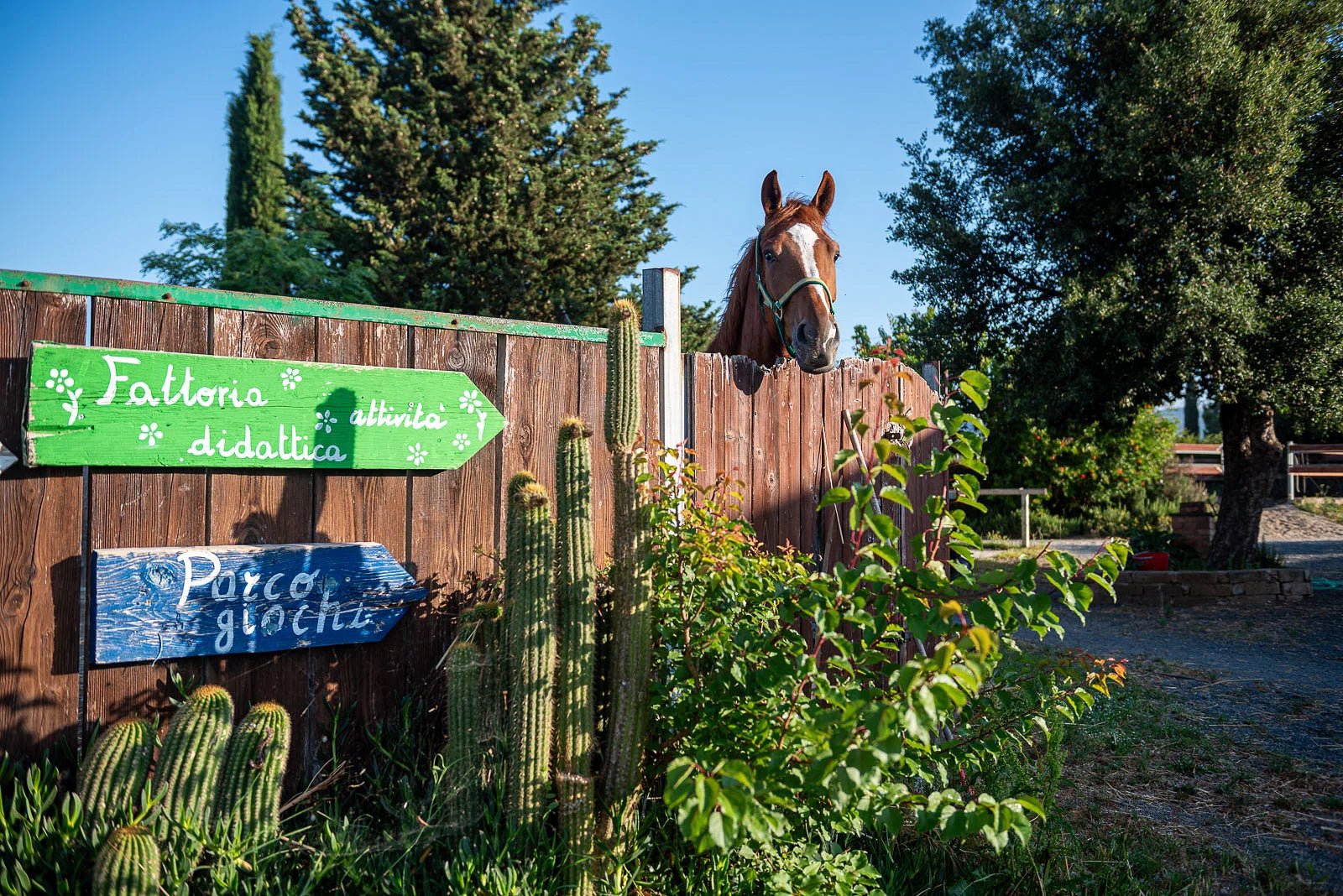 Grosseto: visit the family farm with tasting of local food at Agriturismo Lillastro - Farm Tour - Touraround