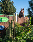 Grosseto: visit the family farm with tasting of local food at Agriturismo Lillastro - Farm Tour - Touraround