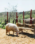 Grosseto: visit the family farm with tasting of local food at Agriturismo Lillastro - Farm Tour - Touraround