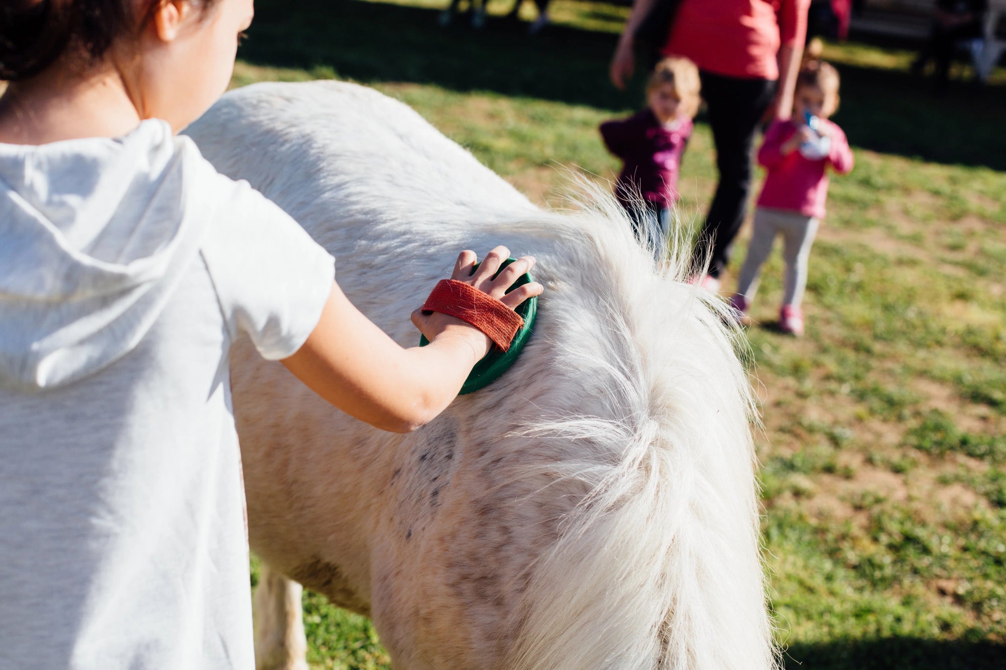 Grosseto: visit the family farm with tasting of local food at Agriturismo Lillastro - Farm Tour - Touraround