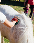Grosseto: visit the family farm with tasting of local food at Agriturismo Lillastro - Farm Tour - Touraround