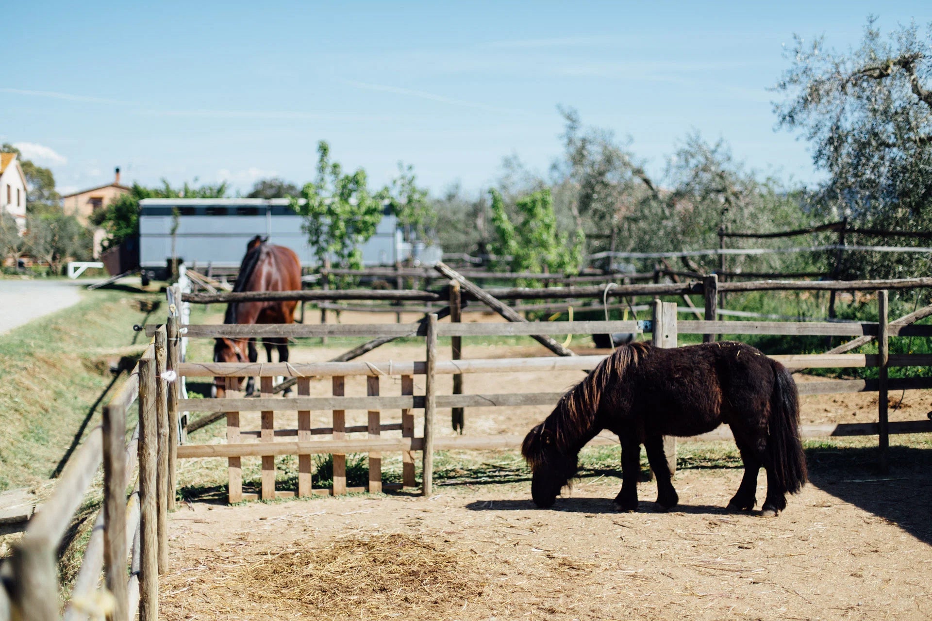 Grosseto: visit the family farm with tasting of local food at Agriturismo Lillastro - Farm Tour - Touraround