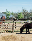 Grosseto: visit the family farm with tasting of local food at Agriturismo Lillastro - Farm Tour - Touraround