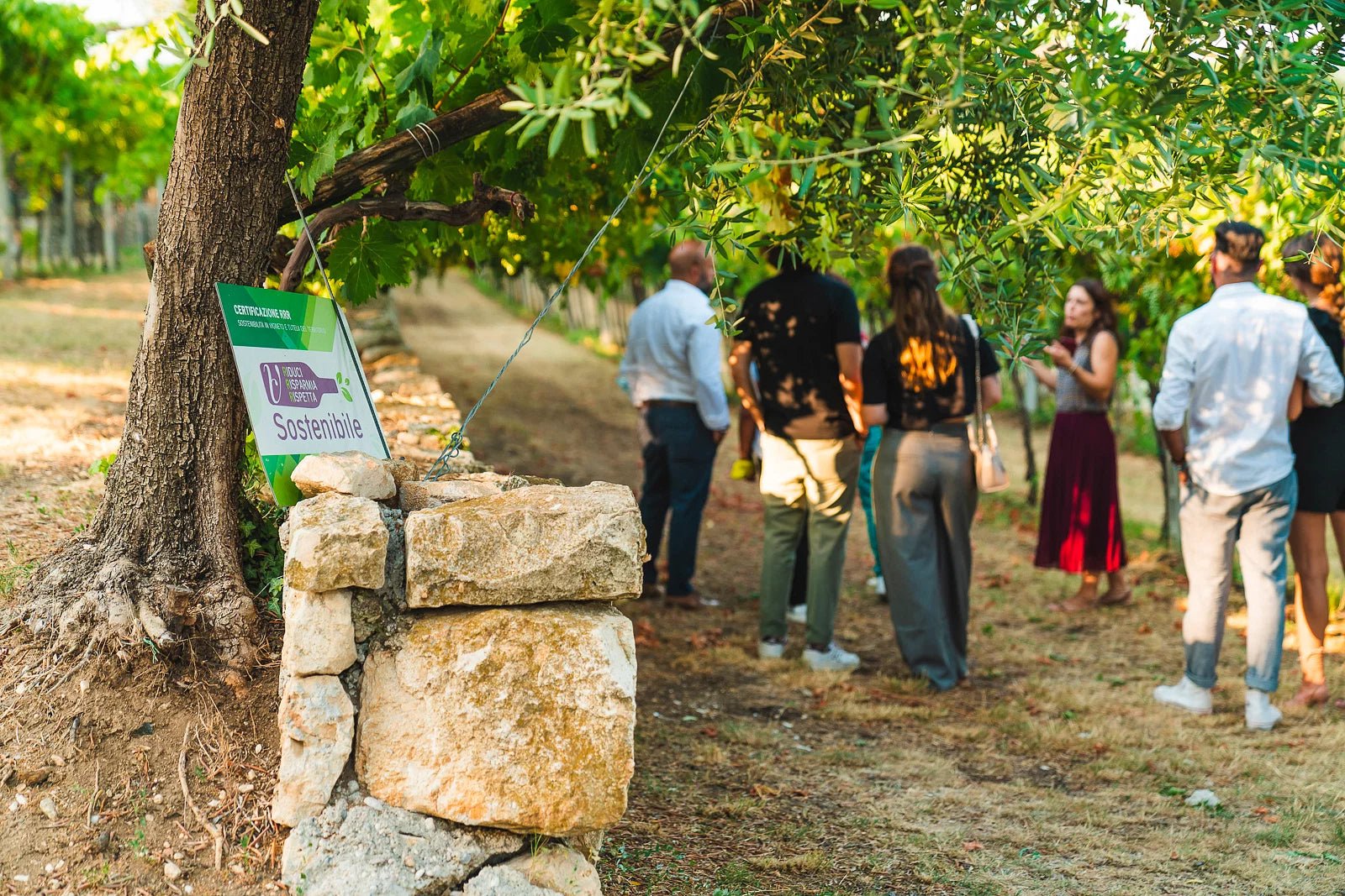 Guided Tour in a Venetian Villa with Valpolicella Wine Tasting - Wine Tasting - Touraround