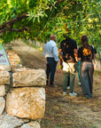 Guided Tour in a Venetian Villa with Valpolicella Wine Tasting - Wine Tasting - Touraround