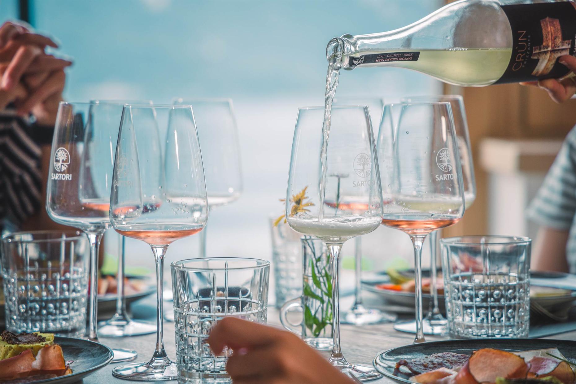 Guided Tour & Tasting Among the Vines of Lake Ledro - Wine Tasting - Touraround