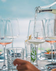 Guided Tour & Tasting Among the Vines of Lake Ledro - Wine Tasting - Touraround