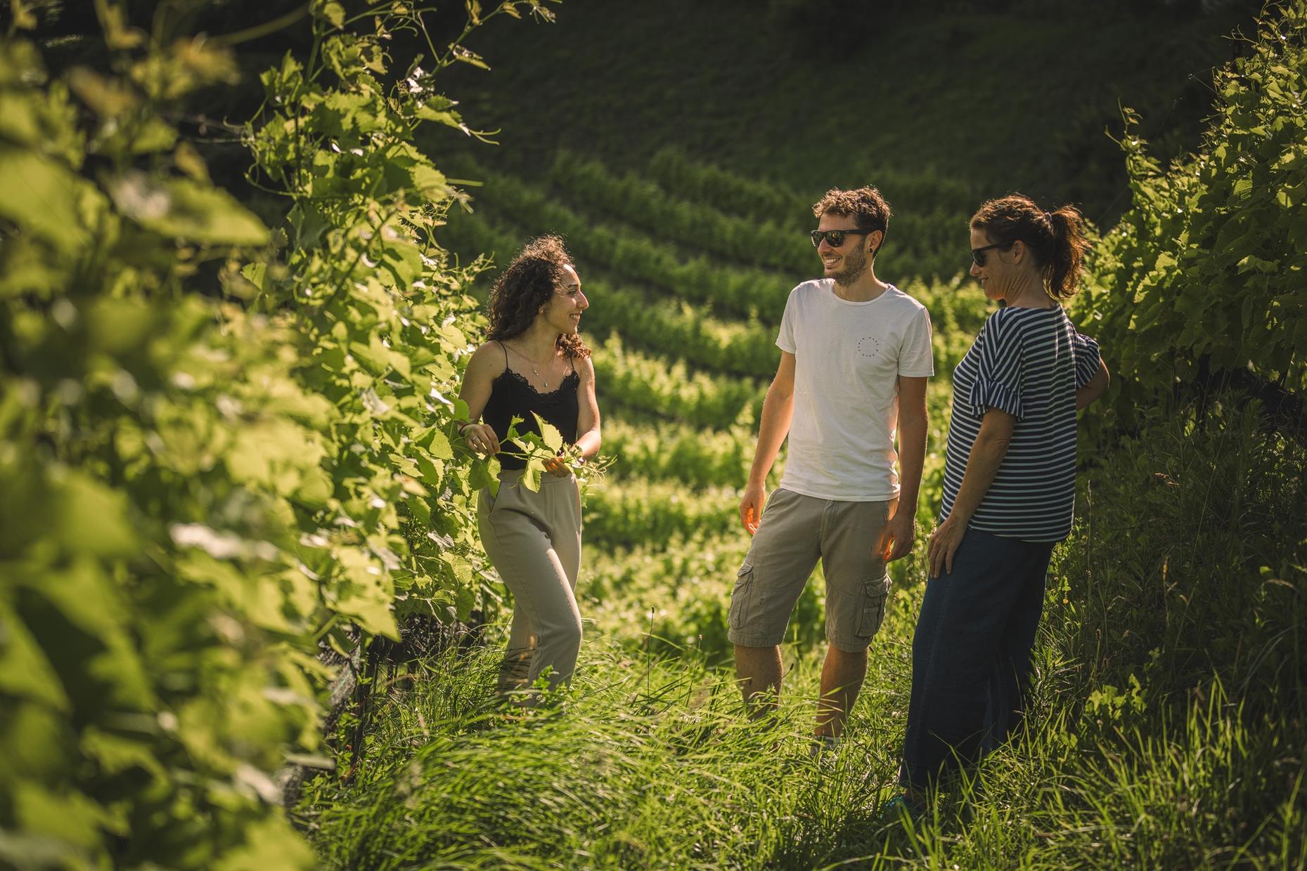 Guided Tour & Tasting Among the Vines of Lake Ledro - Wine Tasting - Touraround