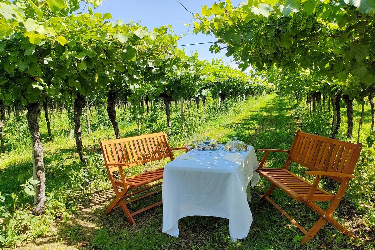 Horse Carriage Tour and tasting of local food in Lazise - Horse Tour - Touraround