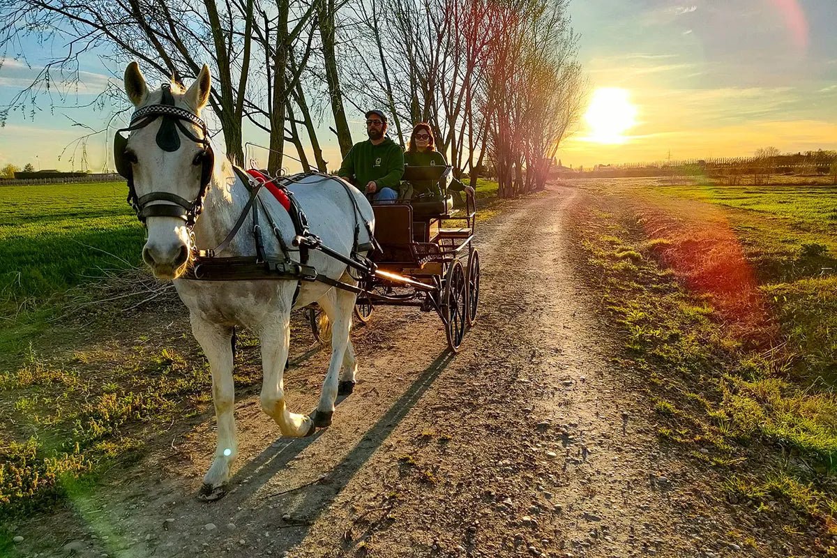 Horse Carriage Tour and tasting of local food in Lazise - Horse Tour - Touraround