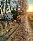 Horse Carriage Tour and tasting of local food in Lazise - Horse Tour - Touraround