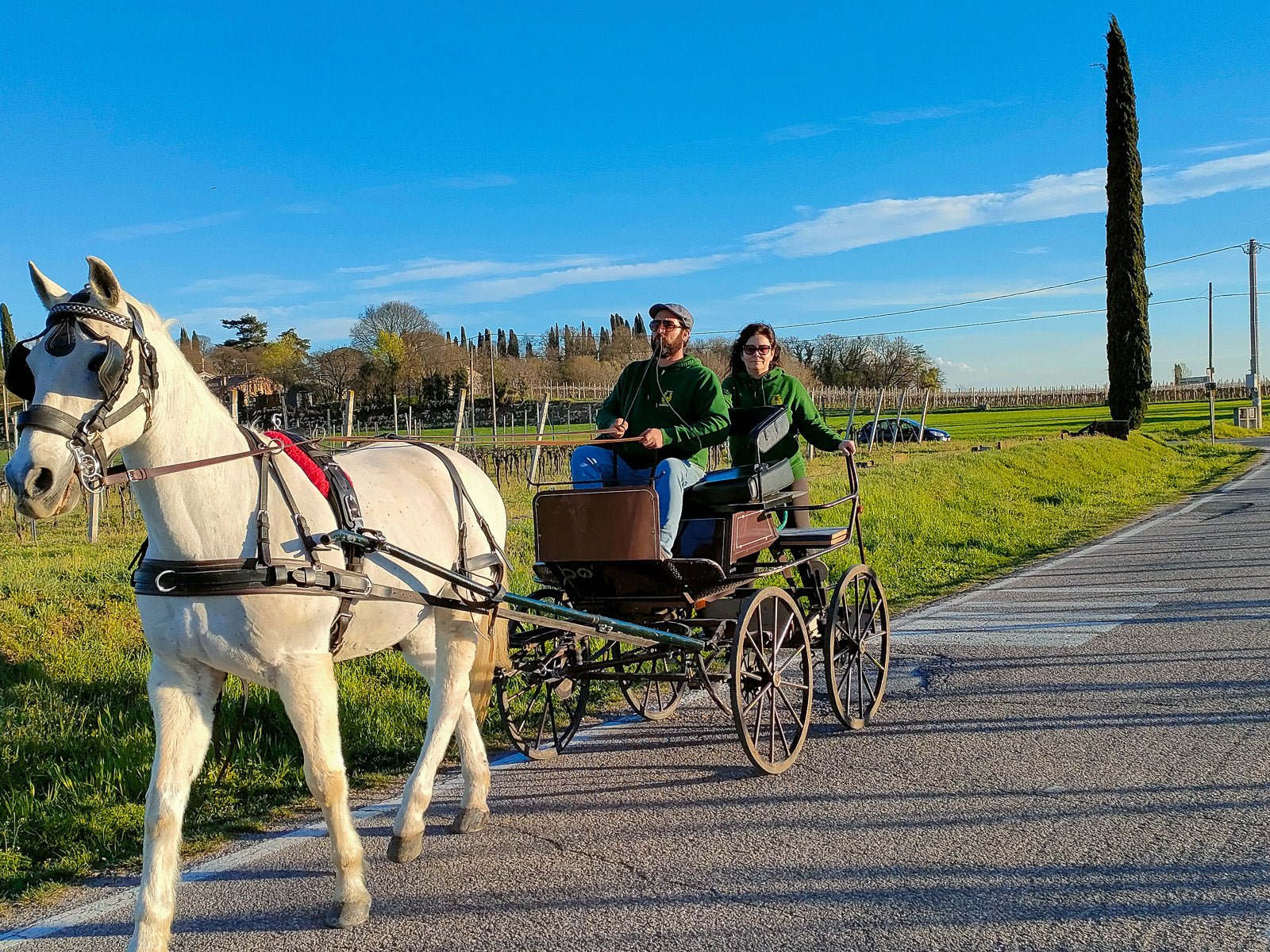 Horse Carriage Tour and tasting of local food in Lazise - Horse Tour - Touraround