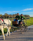 Horse Carriage Tour and tasting of local food in Lazise - Horse Tour - Touraround