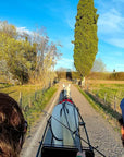 Horse Carriage Tour and tasting of local food in Lazise - Horse Tour - Touraround