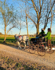 Horse Carriage Tour and tasting of local food in Lazise - Horse Tour - Touraround