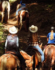 Panoramic 2-Hour Horseback Ride on Monte Gaggio (intermediate) - Touraround