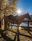 Panoramic 2-Hour Horseback Ride on Monte Gaggio (intermediate) - Touraround
