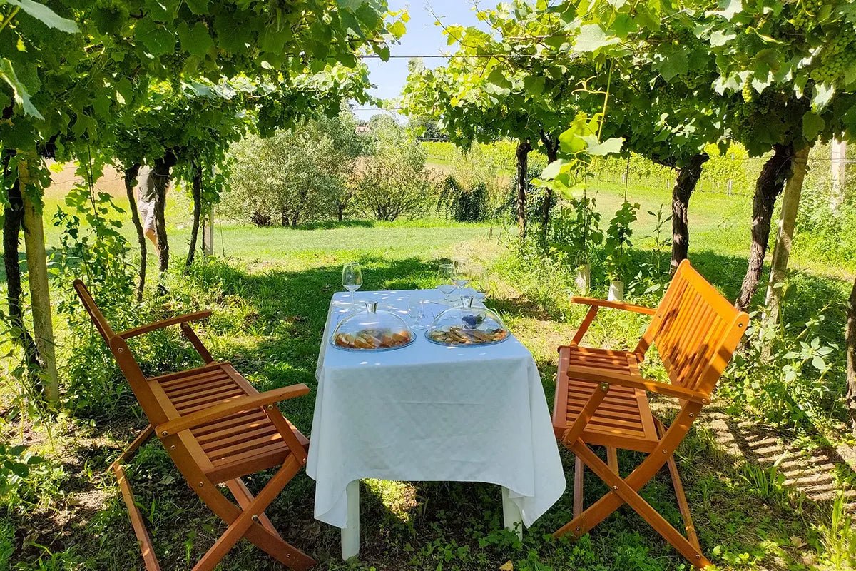 Horseback riding with wine and food tasting in Lazise countryside - Horse Tour - Touraround