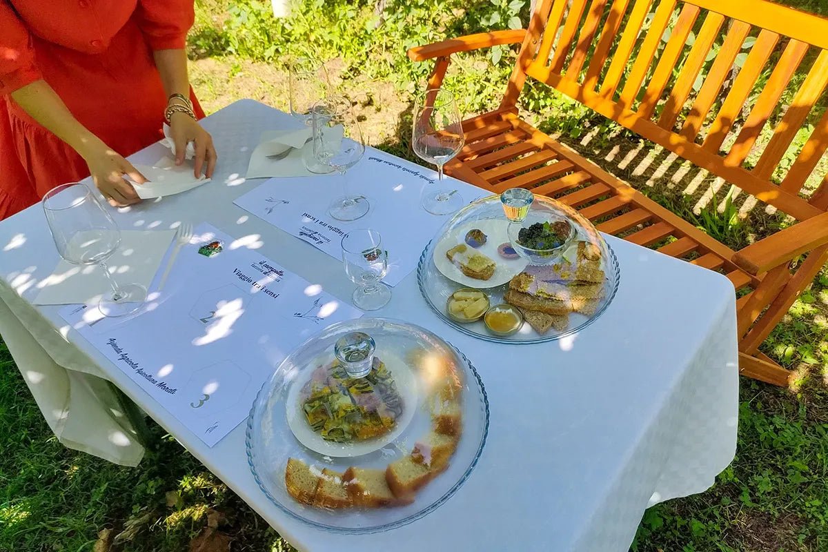 Horseback riding with wine and food tasting in Lazise countryside - Horse Tour - Touraround
