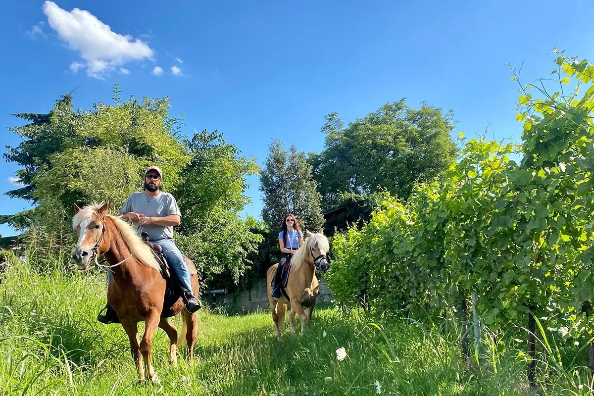 Horseback riding with wine and food tasting in Lazise countryside - Horse Tour - Touraround