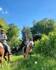 Horseback riding with wine and food tasting in Lazise countryside - Horse Tour - Touraround