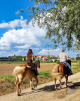 Horseback riding with wine and food tasting in Lazise countryside - Horse Tour - Touraround