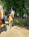 Horseback riding with wine and food tasting in Lazise countryside - Horse Tour - Touraround
