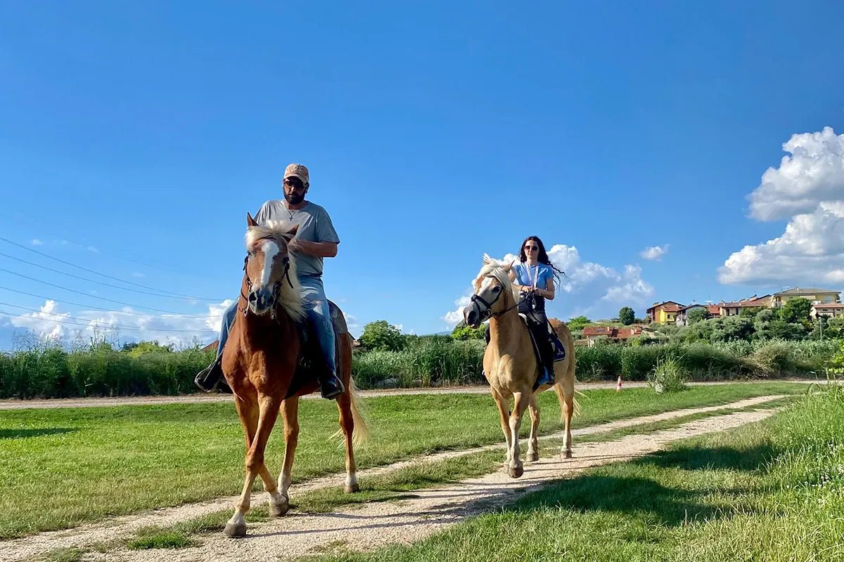 Horseback riding with wine and food tasting in Lazise countryside - Horse Tour - Touraround