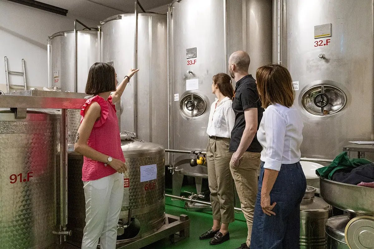 Lake Garda Olive Oil Tour and Tasting Experience - Olive Oil Experience - Touraround