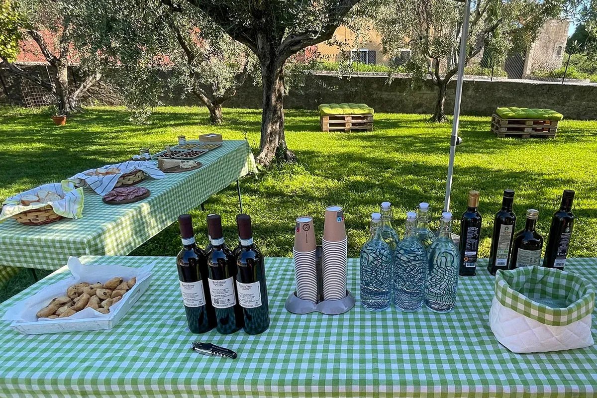Lake Garda Olive Oil Tour and Tasting Experience - Olive Oil Experience - Touraround