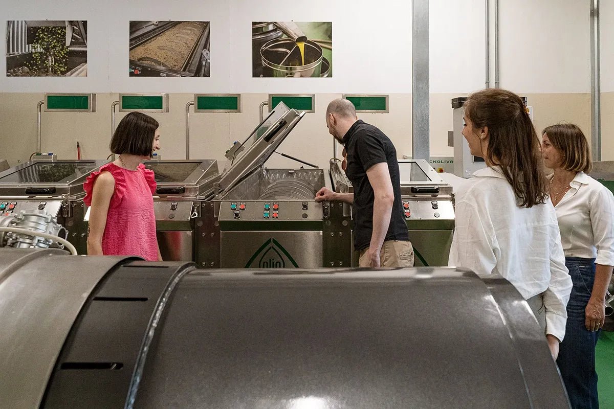 Lake Garda Olive Oil Tour and Tasting Experience - Olive Oil Experience - Touraround