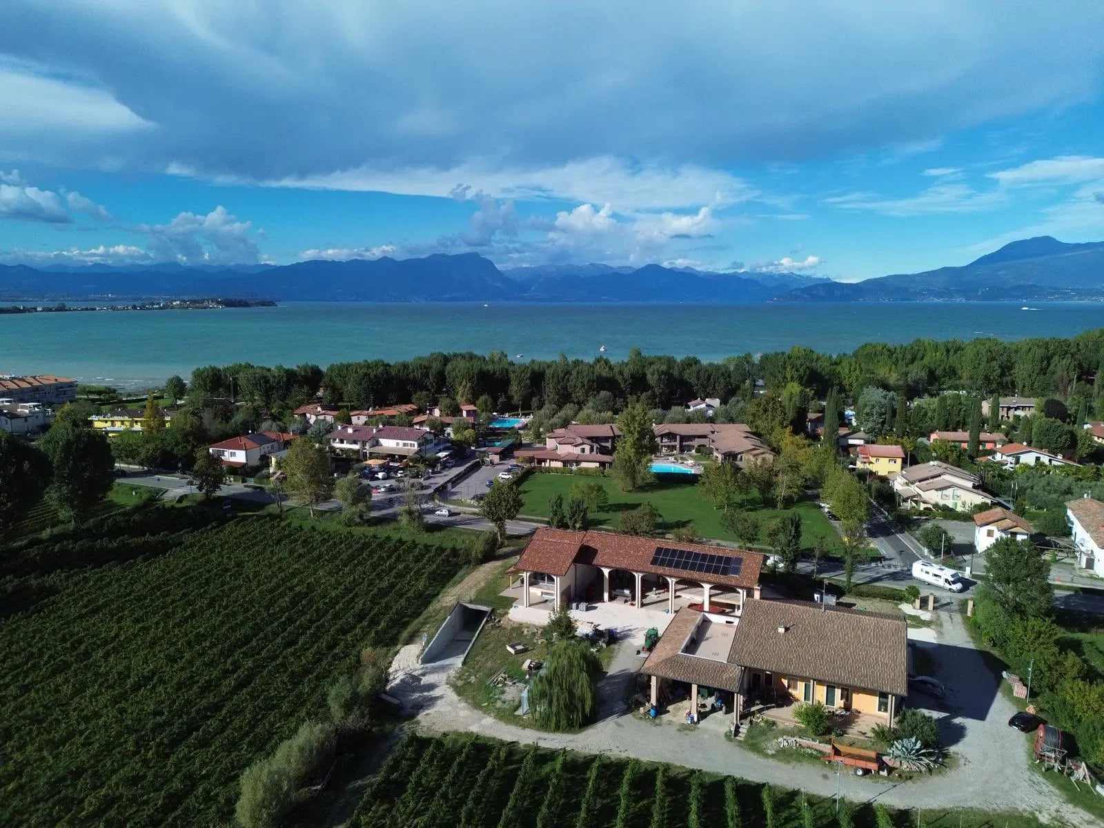 Vineyard Visit & Tasting of 3 Lugana Vintages - Touraround