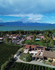 Vineyard Visit & Tasting of 3 Lugana Vintages - Touraround