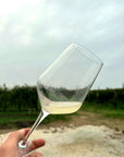 Vineyard Visit & Tasting of 3 Lugana Vintages - Touraround
