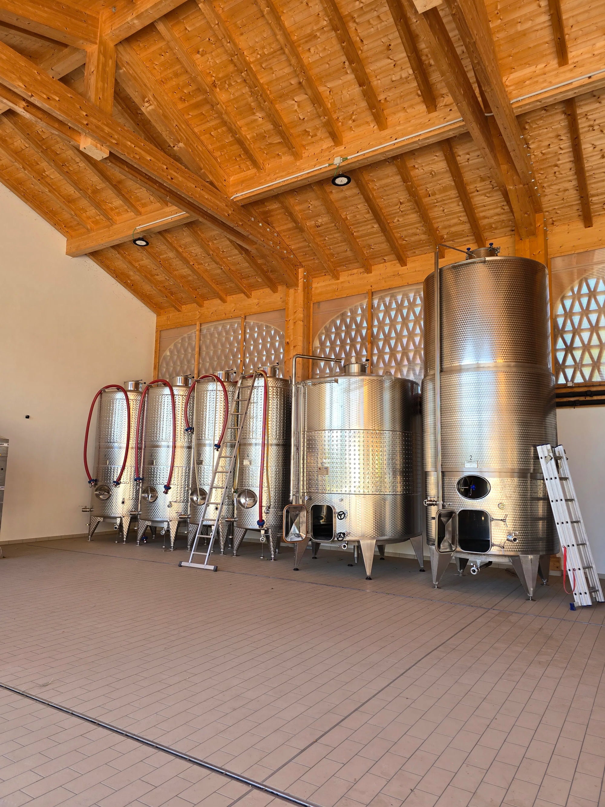 Vineyard Visit & Tasting of 3 Lugana Vintages - Touraround