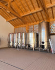 Vineyard Visit & Tasting of 3 Lugana Vintages - Touraround