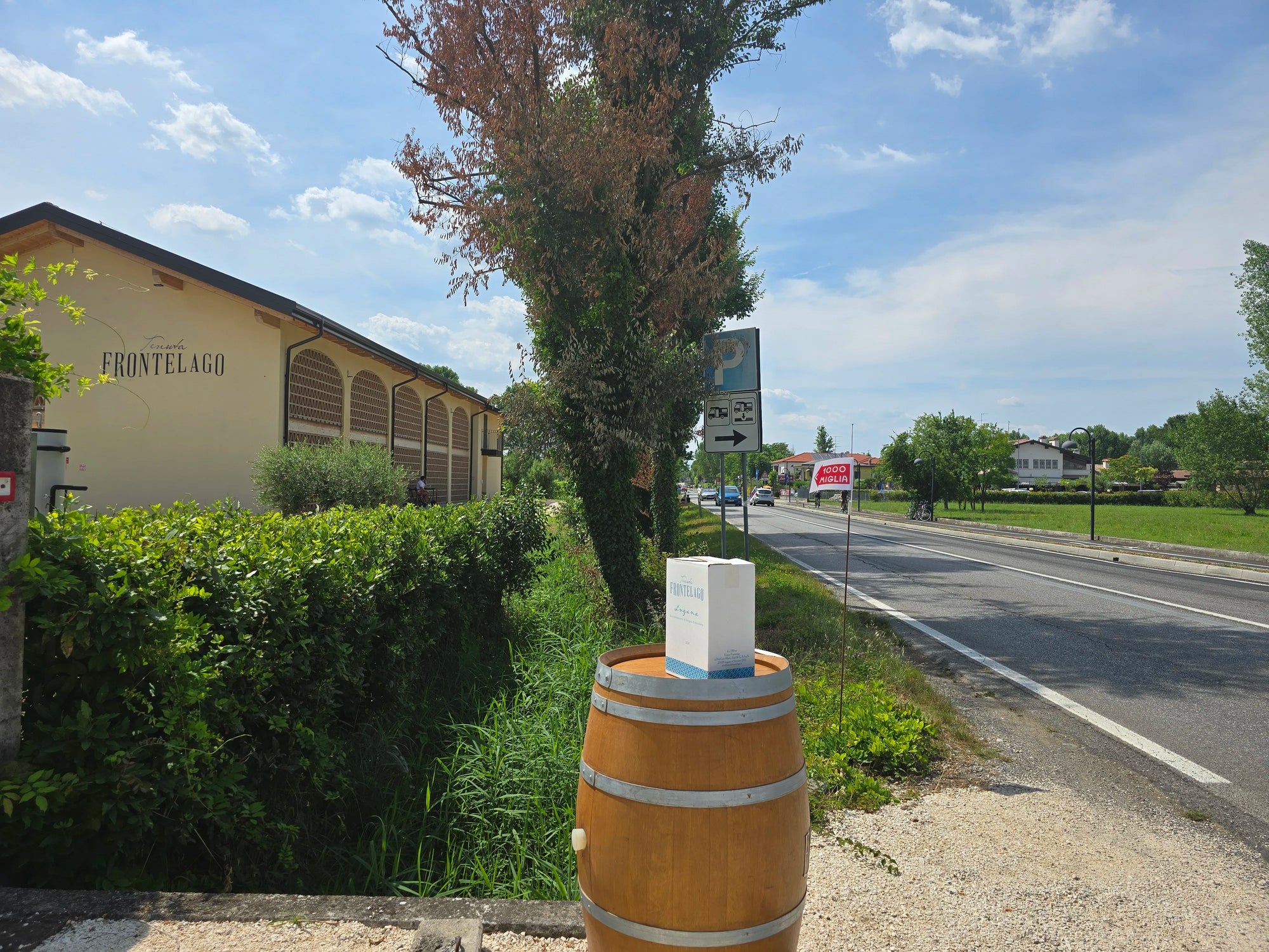 Vineyard Visit & Tasting of 3 Lugana Vintages - Touraround