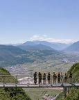Visit of the vineyard on Mount Mezzocorona and tasting of 3 wines - Touraround