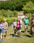 Visit of the vineyard on Mount Mezzocorona and tasting of 3 wines - Touraround