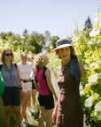 Visit of the vineyard on Mount Mezzocorona and tasting of 3 wines - Touraround