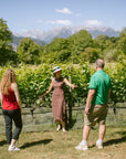 Visit of the vineyard on Mount Mezzocorona and tasting of 3 wines - Touraround