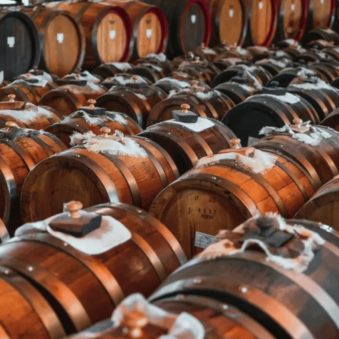 Modena: Balsamic Vinegar Tasting & Production Tour - Balsamic Vinegar Tasting - Touraround