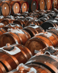 Modena: Balsamic Vinegar Tasting & Production Tour - Balsamic Vinegar Tasting - Touraround