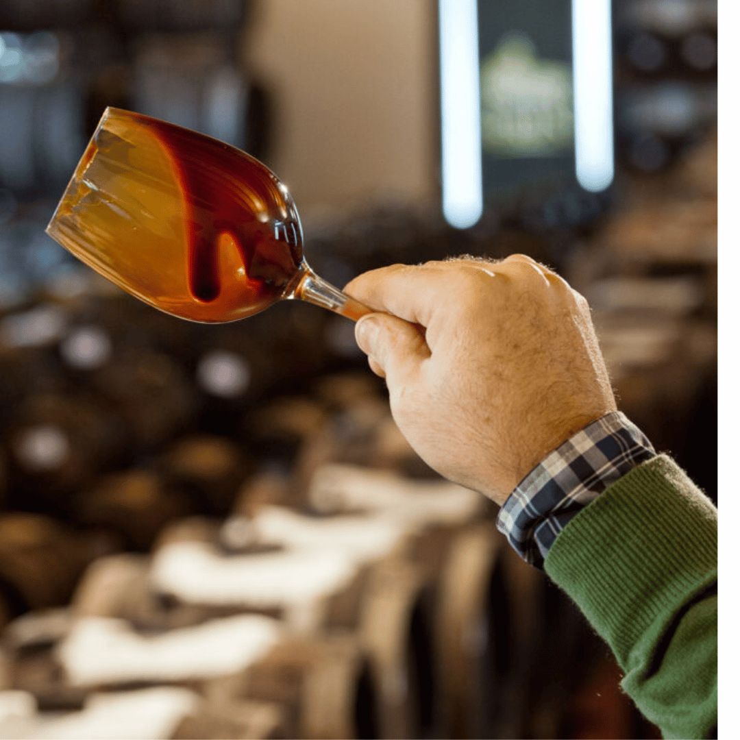 Modena: Balsamic Vinegar Tasting & Production Tour - Balsamic Vinegar Tasting - Touraround