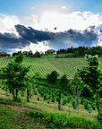 Modena: Balsamic Vinegar Tasting & Production Tour - Balsamic Vinegar Tasting - Touraround