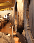 Modena: Balsamic Vinegar Tasting & Production Tour - Balsamic Vinegar Tasting - Touraround