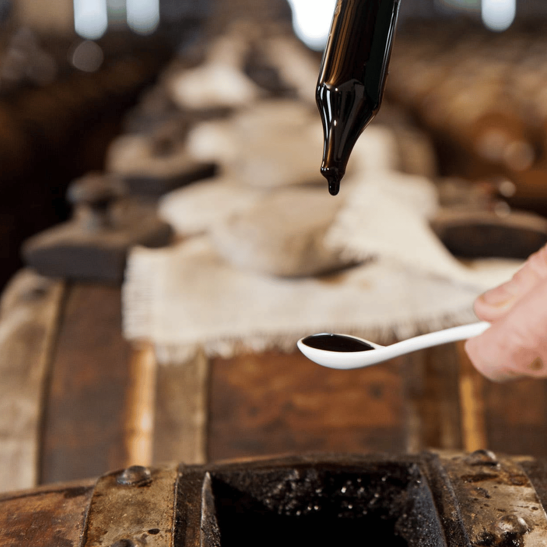 Modena Food Tour: Sightseeing & Taste - Food Tour - Touraround